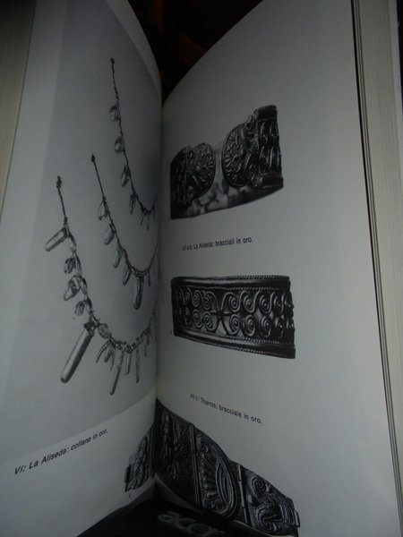 L' Enigma dei Fenici
