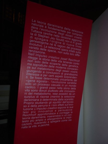 L' impulso creativo. Una rigorosa e innovativa rilettura della teoria …