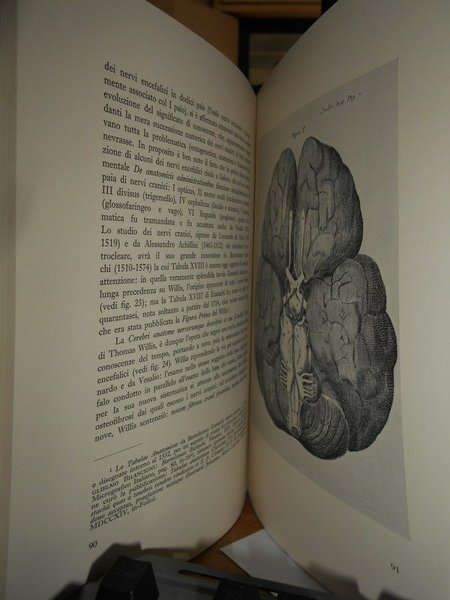 L' Opera Neurologica di ANTONIO SCARPA