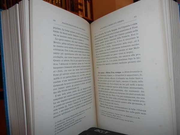 L' origine delle Piante coltivate