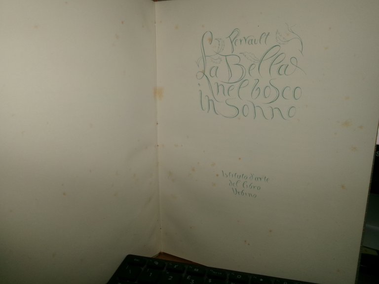 La Bella nel Bosco in sonno - Perrault (ed. di … | Immagine Gallery 3