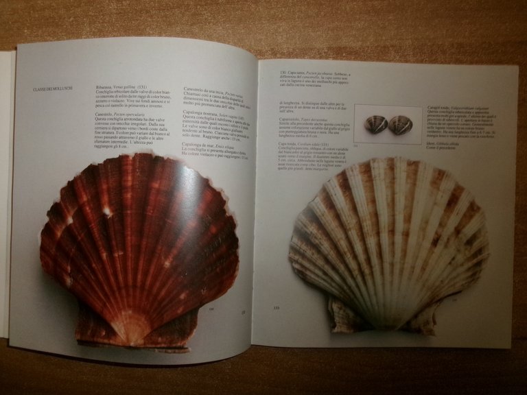 La Pesca nella Laguna di Venezia. Antologia storica di testi …