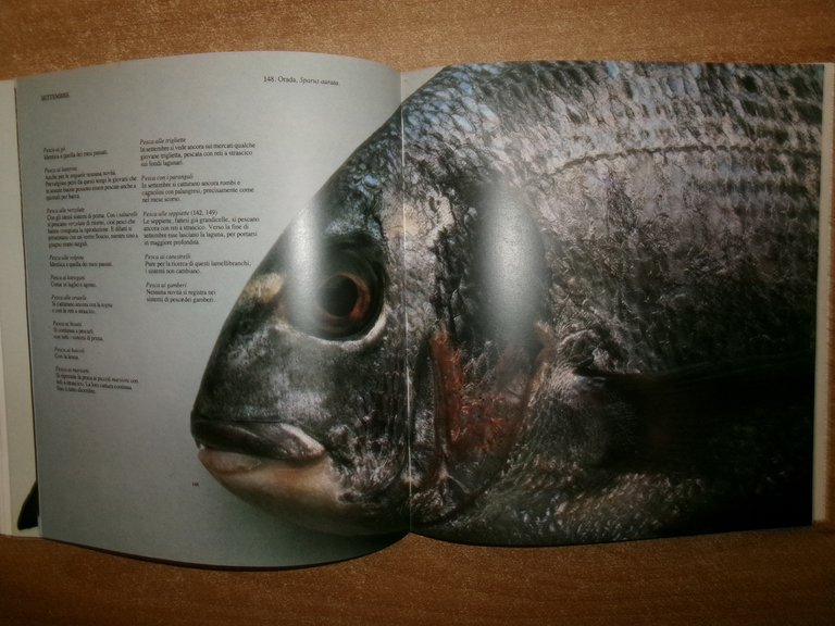 La Pesca nella Laguna di Venezia. Antologia storica di testi …