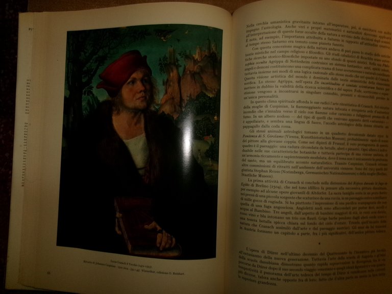 La Pittura Tedesca da Durer a Holbein testo di Otto …