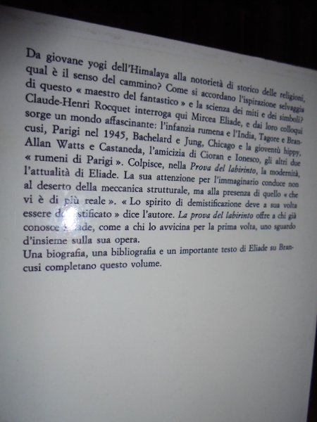 La prova del labirinto. Intervista con C.-H. Rocquet