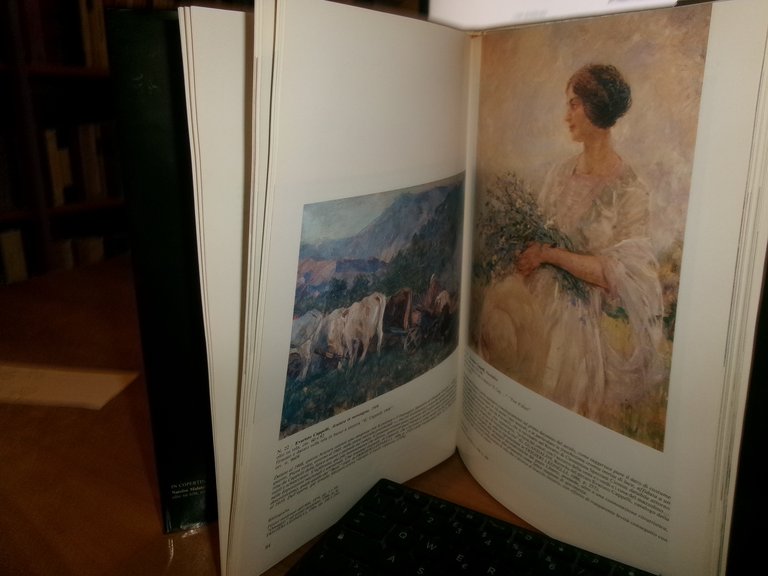 La Raccolta d' Arte della Provincia di Modena. A cura …
