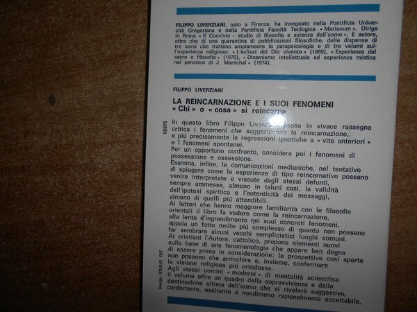 LA REINCARNAZIONE e i SUOI FENOMENI. "chi" o" cosa" si …