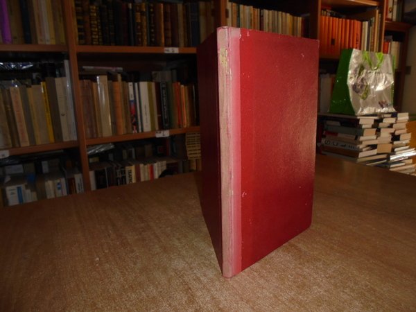 La Tomba di Lorenzo Dei Medici detto Il Magnifico