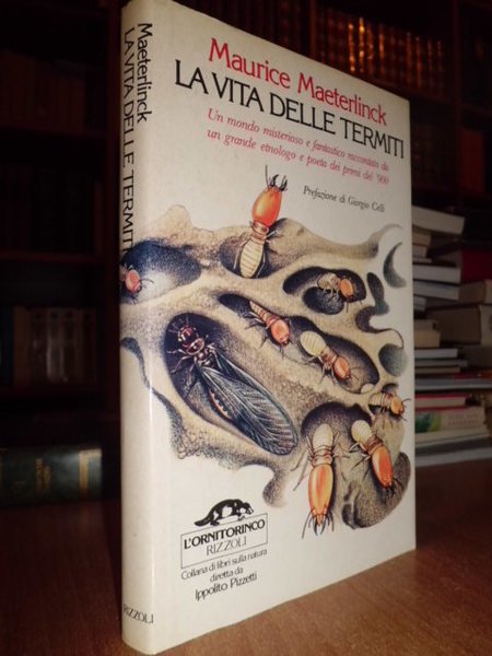 La Vita delle Termiti