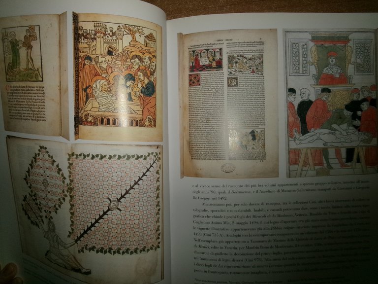 La vita nei libri - Edizioni della Laguna, 2003