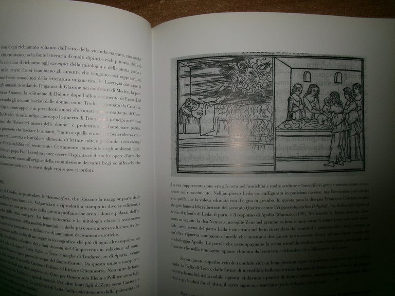 La vita nei libri - Edizioni della Laguna, 2003