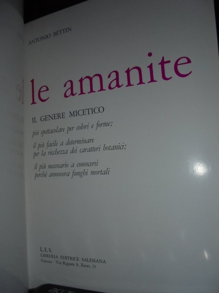 LE AMANITE. Nuovo metodo scientifico-pratico per conoscere i funghi basato …