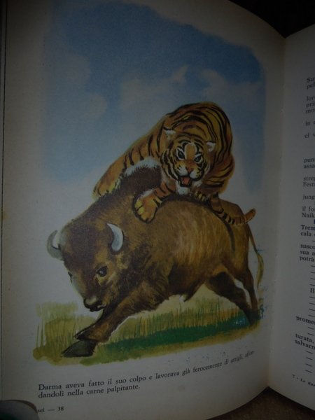 Le due tigri