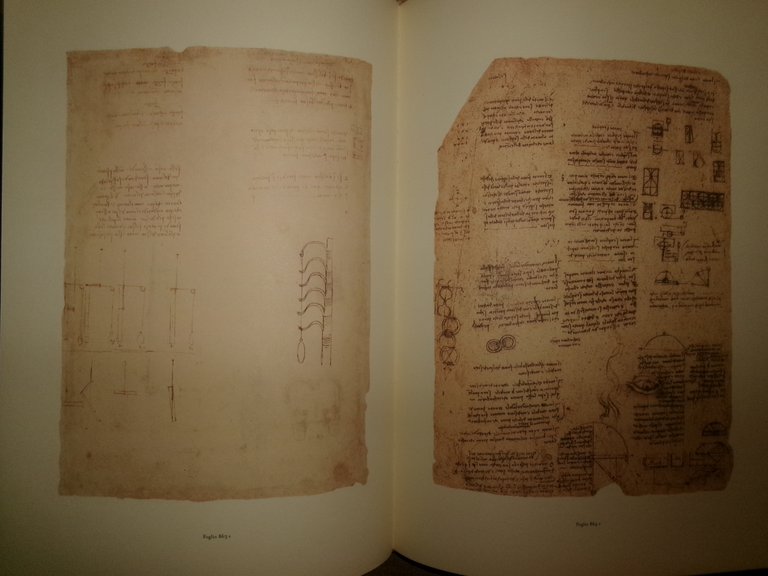 LEONARDO DA VINCI. Il Codice Atlantico Volume 15 - 2006