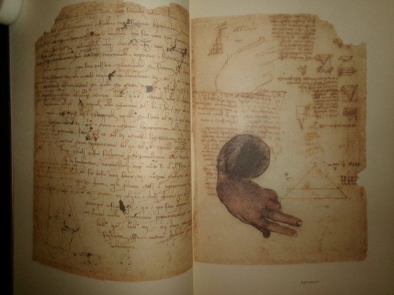 LEONARDO DA VINCI. Il Codice Atlantico Volume 7 - 2006
