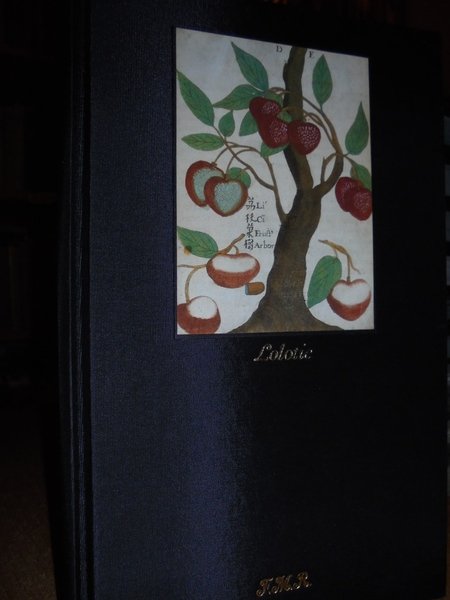 LOLOTIE ou Les Grandes Montagnes Froides du Sichuan | Immagine Gallery 1