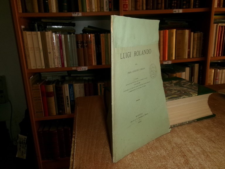 Luigi Rolando pel Prof. Augusto Corona. Discorso pronunciato nell' Aula … | Immagine Gallery 1