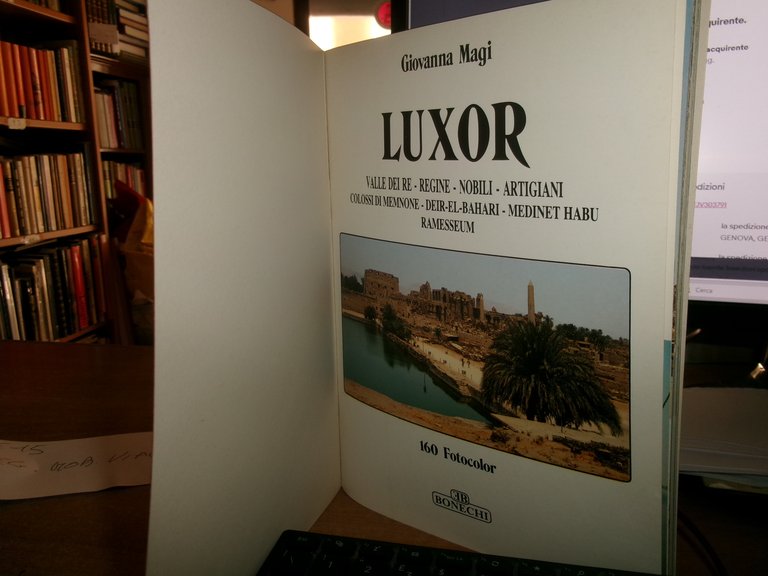 LUXOR Valle dei Re - Regine - Nobili - Artigiani … | Immagine Gallery 4