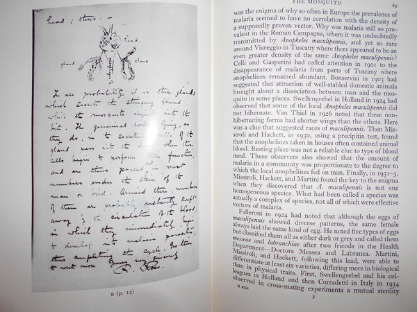 Man's Mastery of Malaria