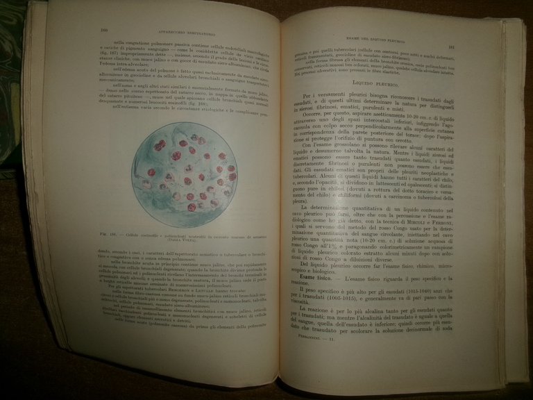 MANUALE di SEMEIOTICA MEDICA. ALFREDO FERRARINI 1950