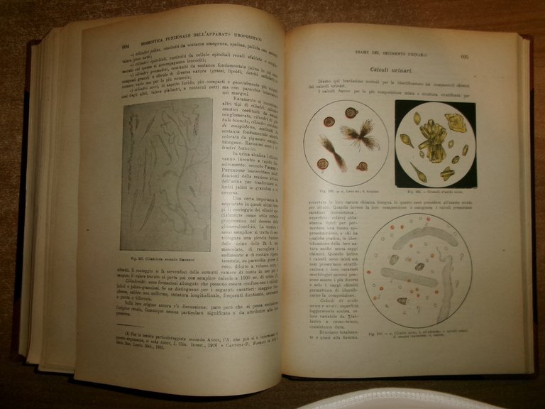 Manuale di SEMEIOTICA MEDICA. Umberto Carpi De Resmini 1946