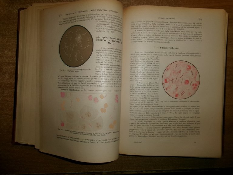 Manuale di SEMEIOTICA MEDICA. Umberto Carpi De Resmini 1946