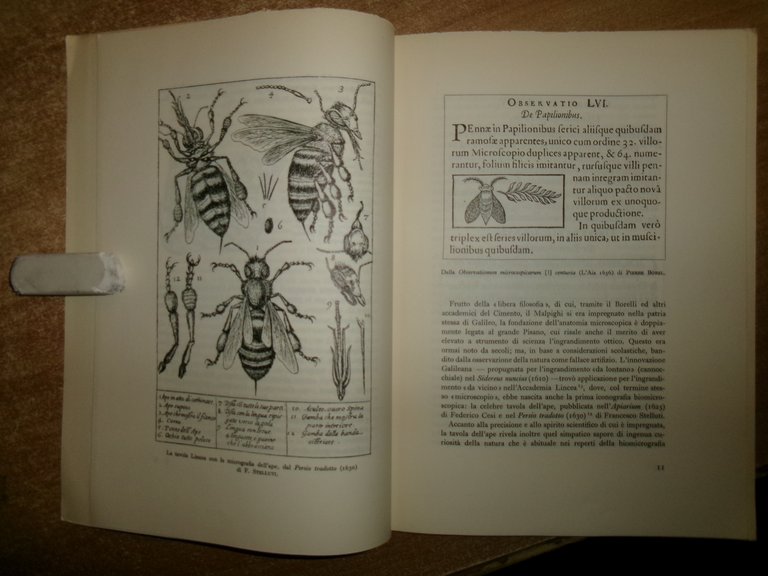 Marcello Malpighi. DE PULMONIBUS ristampa 1958