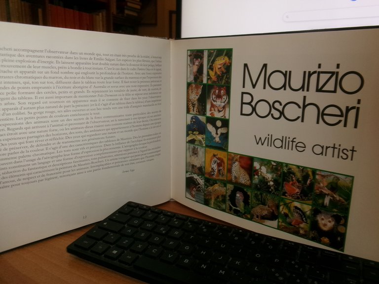 MAURIZIO BOSCHERI. La Natura e il Sogno 2001
