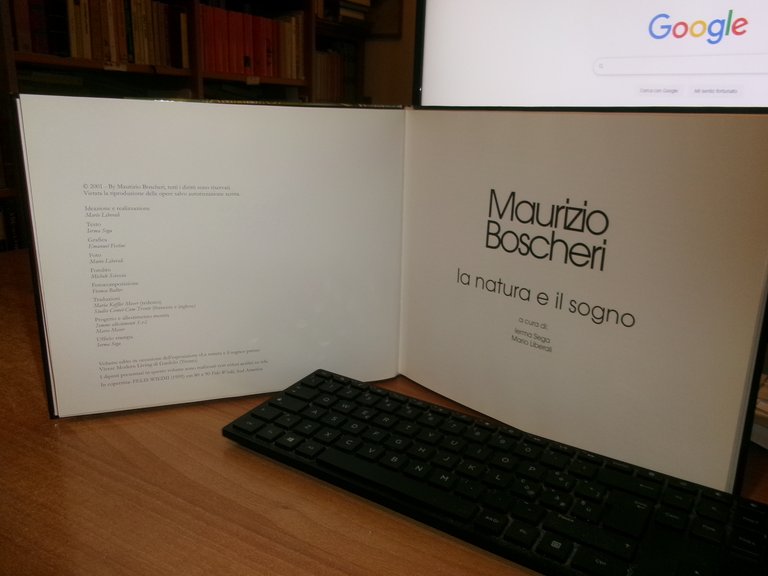 MAURIZIO BOSCHERI. La Natura e il Sogno 2001