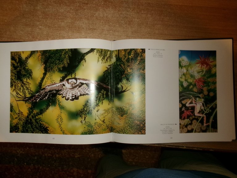 MAURIZIO BOSCHERI. La Natura e il Sogno 2001