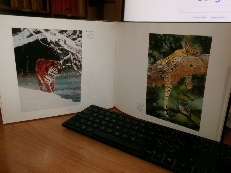 MAURIZIO BOSCHERI. La Natura e il Sogno 2001
