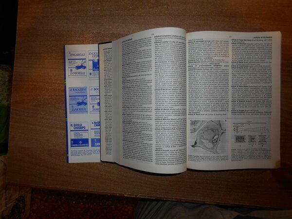MEDICINA E BIOLOGIA. Medicine & Biology