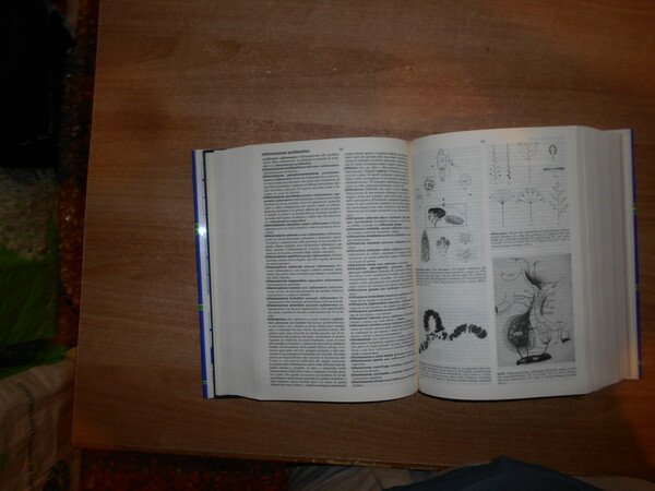MEDICINA E BIOLOGIA. Medicine & Biology