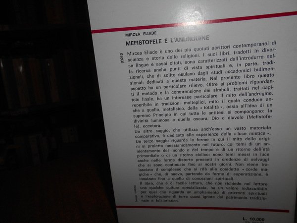 MEFISTOFELE e L' ANDROGINE