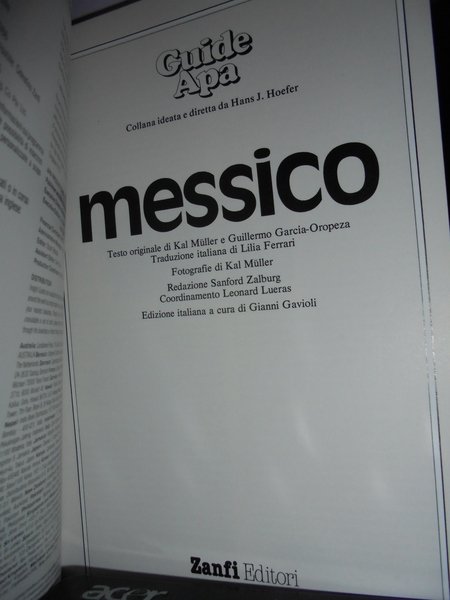 MESSICO - Guide APA