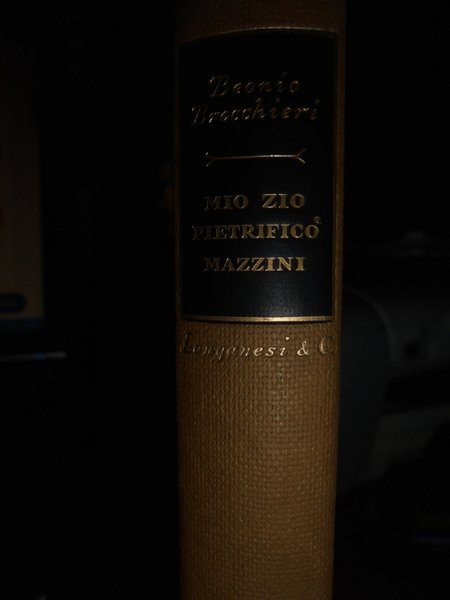 Mio Zio pietrificò Mazzini