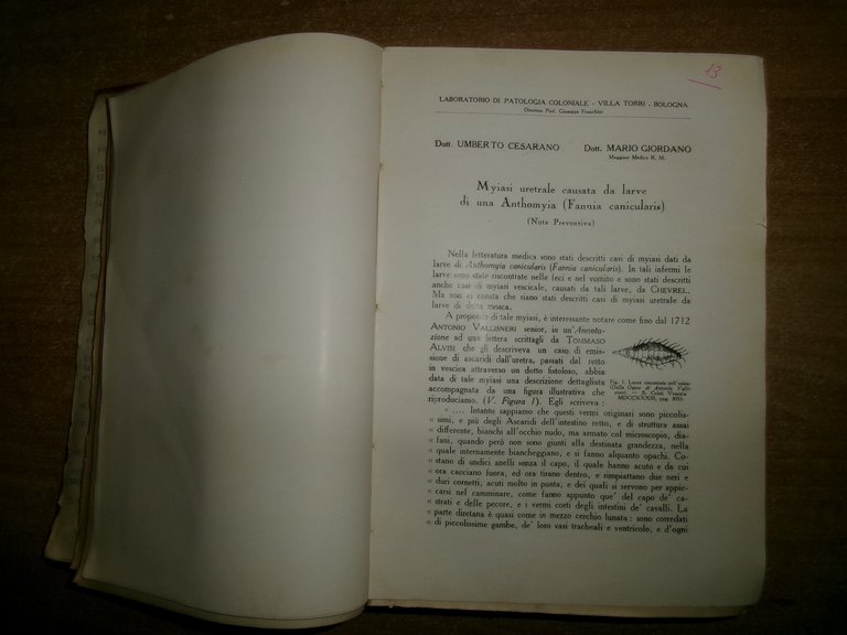 AA. VV. Miscellanea di numerosi opuscoli/estratti infezioni; immunità; serologia 1907/25