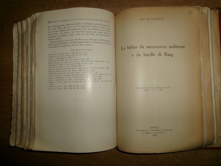 AA. VV. Miscellanea di numerosi opuscoli/estratti infezioni; immunità; serologia 1907/25