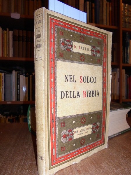 NEL SOLCO DELLA BIBBIA