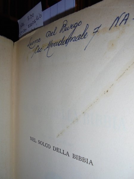 NEL SOLCO DELLA BIBBIA