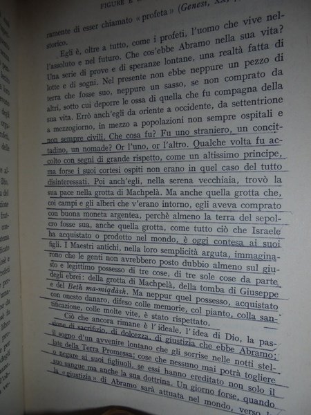 NEL SOLCO DELLA BIBBIA