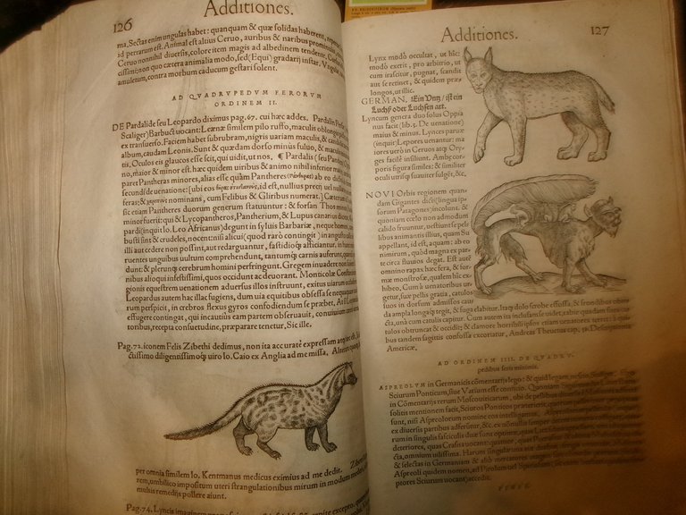 NOMENCLATOR AQUATILIUM ANIMANTIUM. ICONES ANIMALIUM AQUATILIUM IN MARI ET DULCIBUS … | Immagine Gallery 14