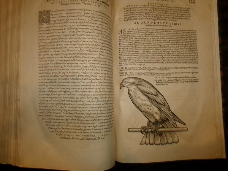 NOMENCLATOR AQUATILIUM ANIMANTIUM. ICONES ANIMALIUM AQUATILIUM IN MARI ET DULCIBUS … | Immagine Gallery 18