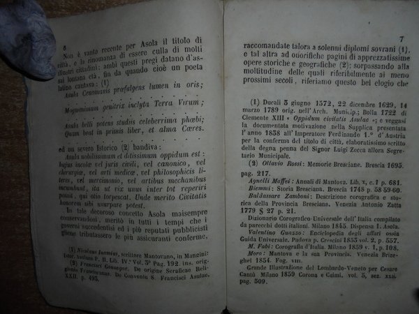 Notizie Biografiche dei Ragguardevoli Asolani premessovi uno schizzo storico descrittivo …
