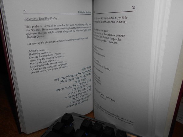 On Wings of Light. The Hillel Siddur for Kabbalat Shabbat …
