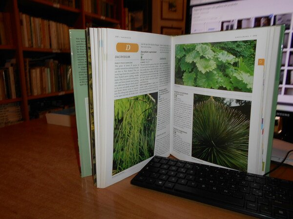 ORNAMENTAL FOLIAGE PLANTS. For Your Garden