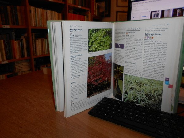 ORNAMENTAL FOLIAGE PLANTS. For Your Garden