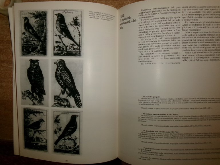 PADUS La lunga storia del Delta a cura di Carlo …