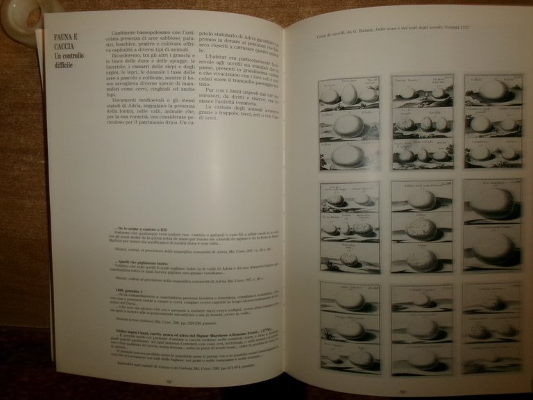 PADUS La lunga storia del Delta a cura di Carlo …