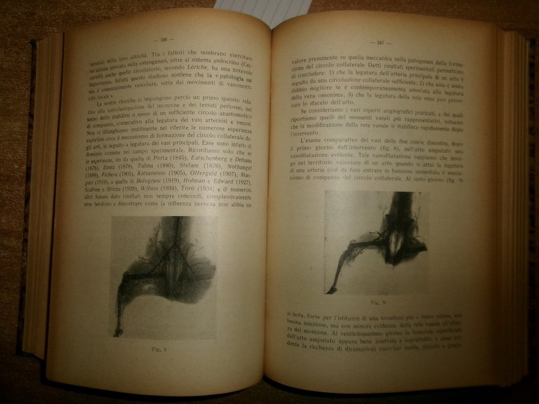 (Parma) L' Ateneo Parmense 1950 con ex libris Domenico Campanacci
